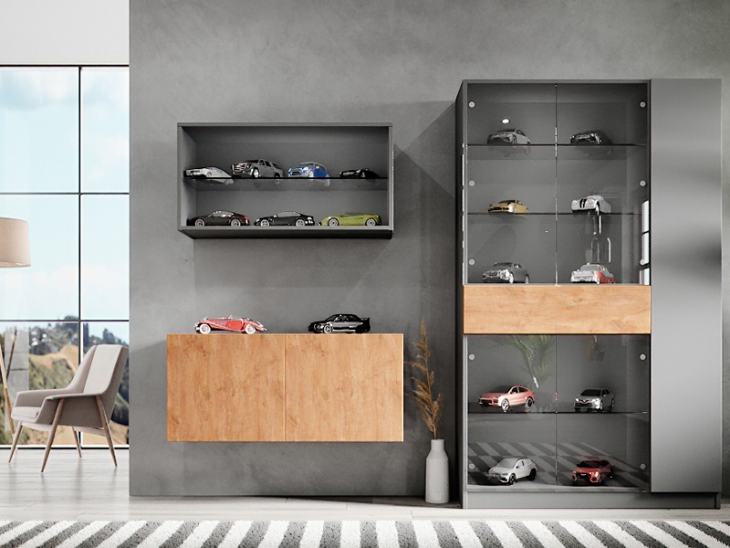 Sammlervitrine