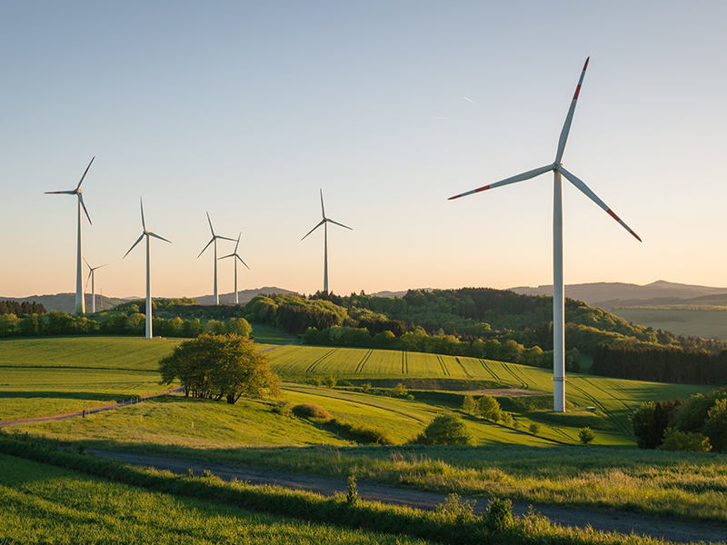 CO2 neutrale Website