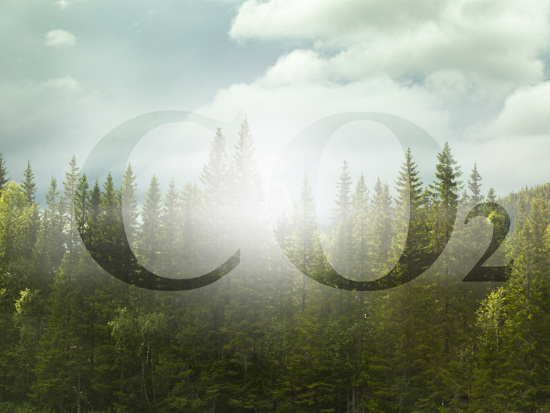 Co2 neutrale website